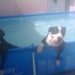 brindi y aj
